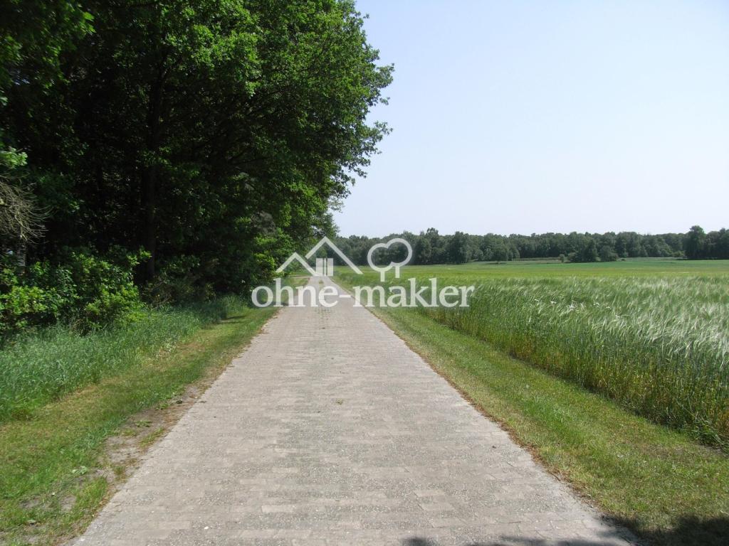 Straße vor dem Haus Ost