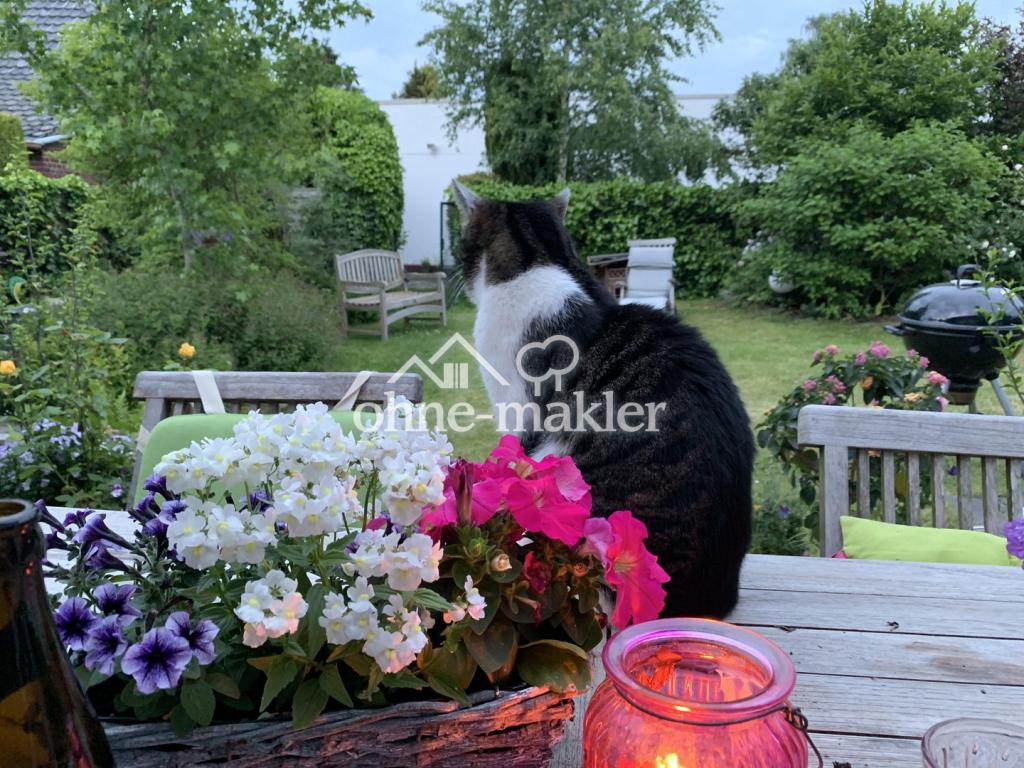 Abendstimmung 