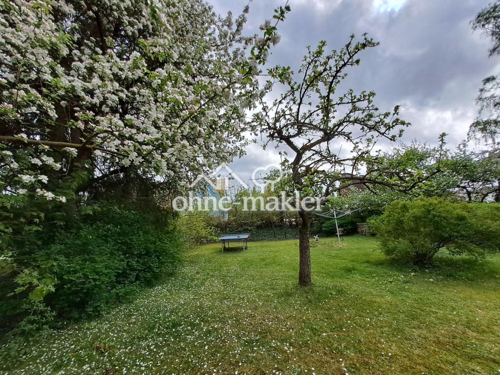Garten mit Obstbäumen