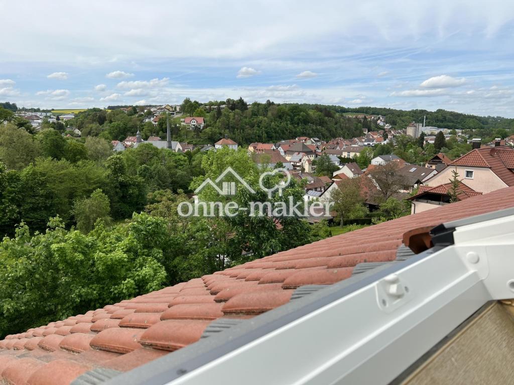 Blick aus Wohnung DG