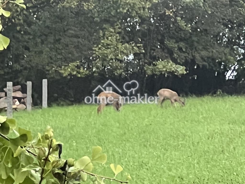 Besucher vor Schlafzimmer ;)