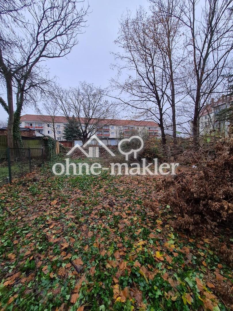 Garten (hinter dem Haus)