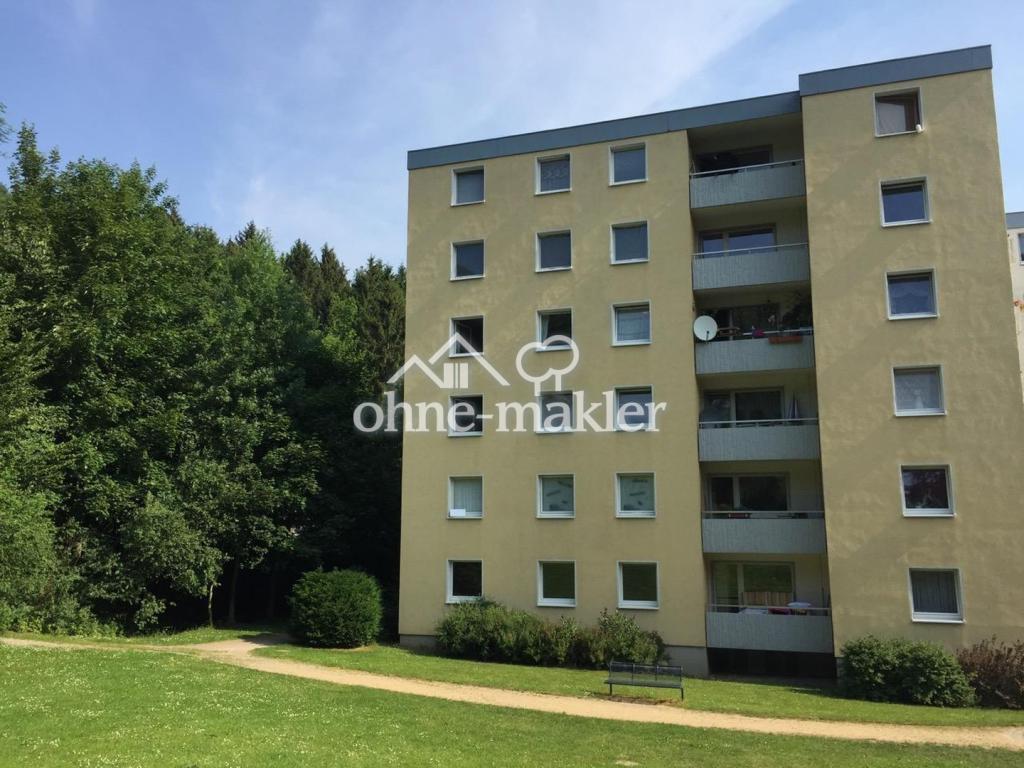 Wohnen im Grünen 4-Zimmer-Wohnung in Goslar - Foto 4