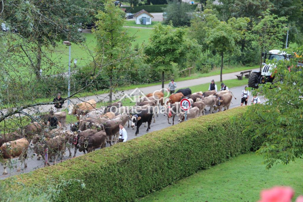 Viehscheid