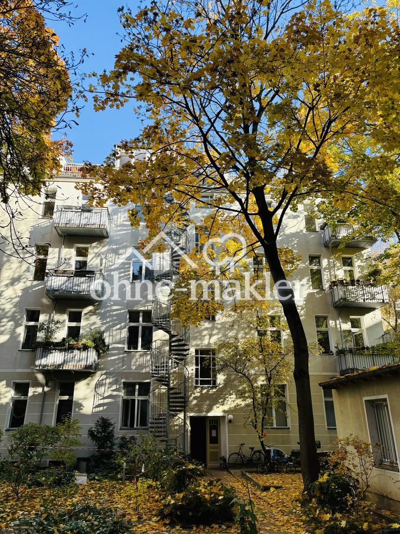Großer, grüner Hinterhof