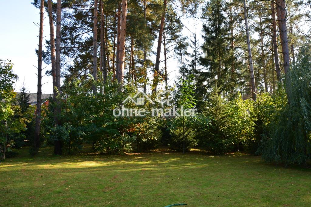 Waldaussicht