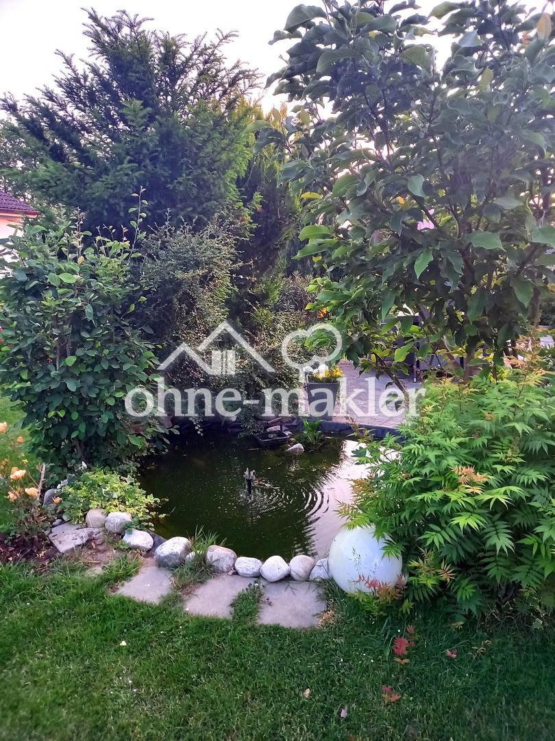Garten-kleiner Teich