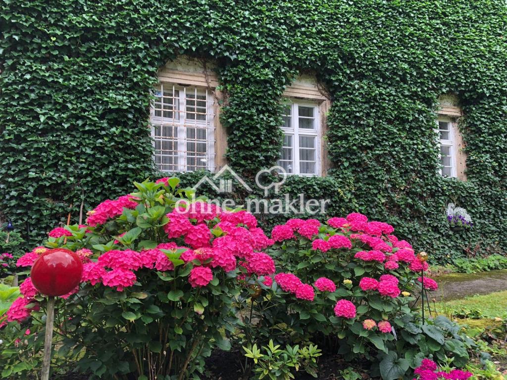 Wohnzimmerfenster zum Teich