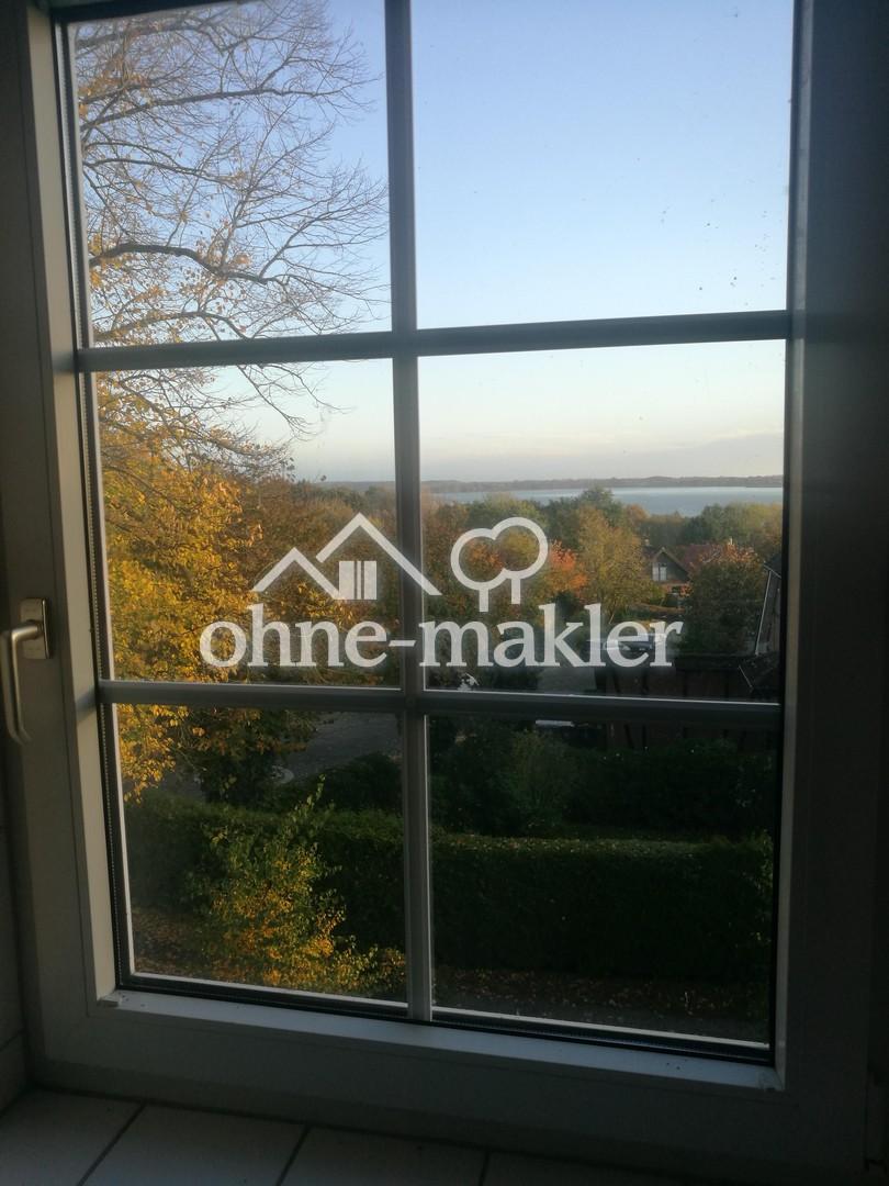 Schleiblick