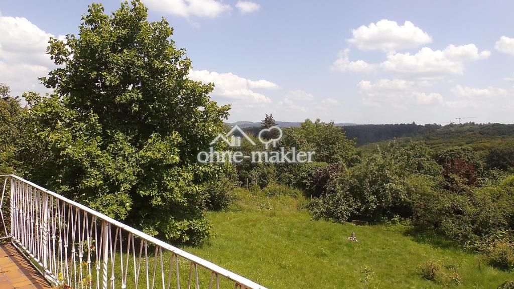 EG Ausblick Balkon