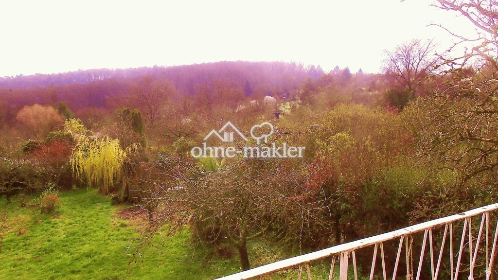 EG Ausblick Balkon