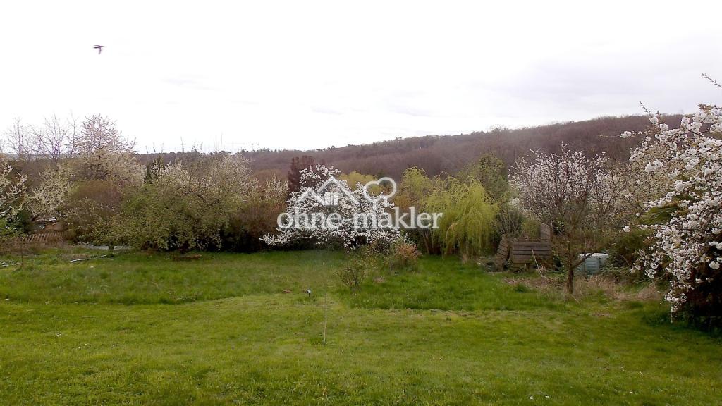 Gartenblick von Terrasse GG