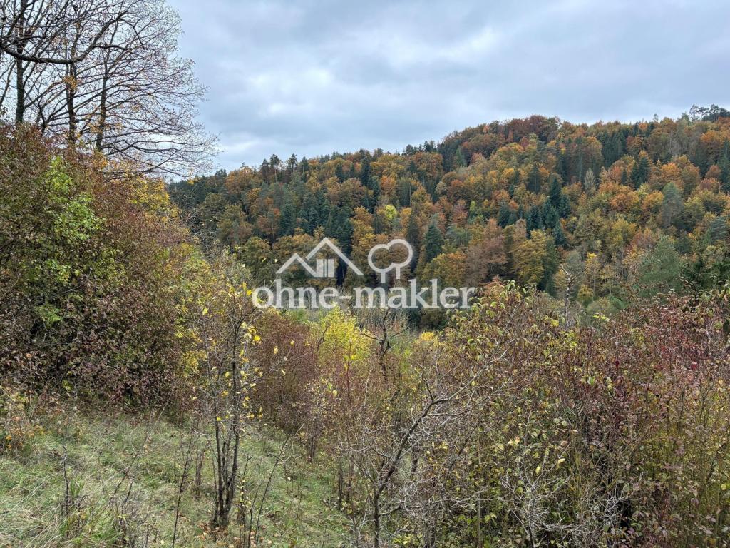 Aussicht nach Osten