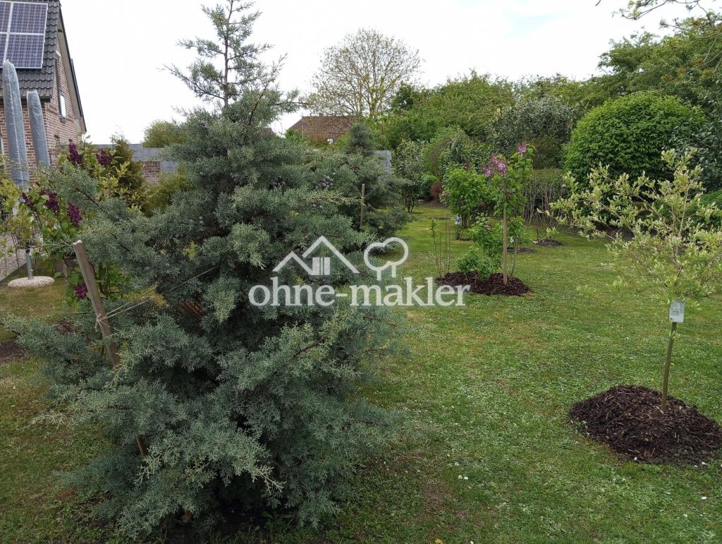 Garten hintere DHH