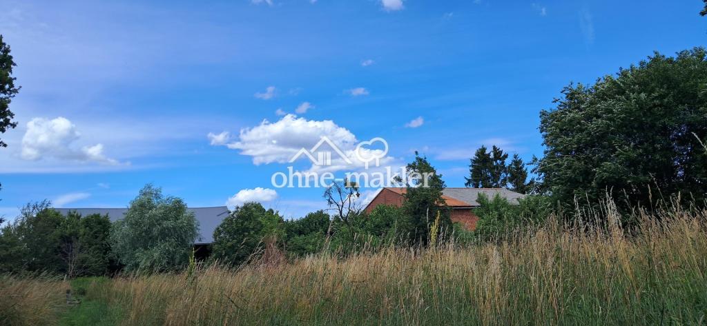 Blick auf die Scheune