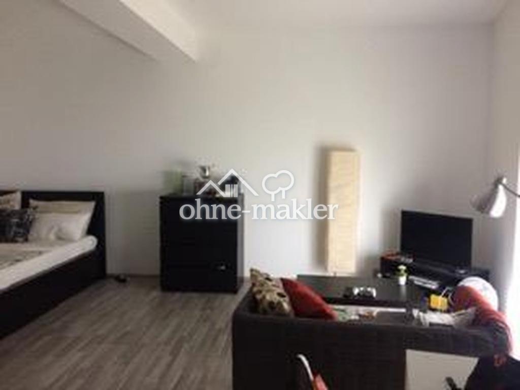 Wohnzimmer / Schlafzimmer 