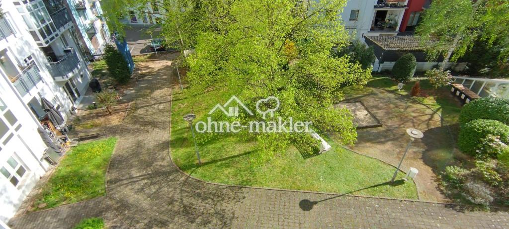 Blick Gartenseite unten