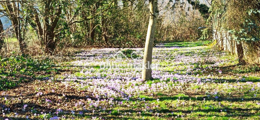 Zentral und Natur nah - Photo 5