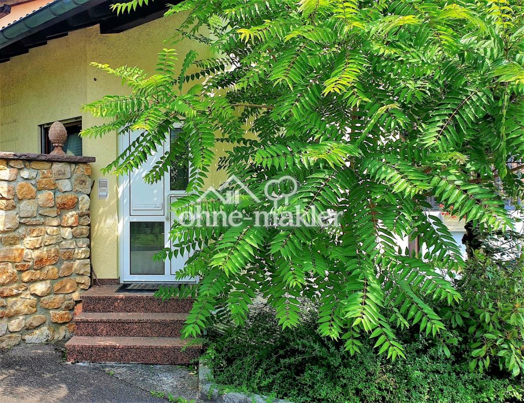 Eingang DG Wohnung 