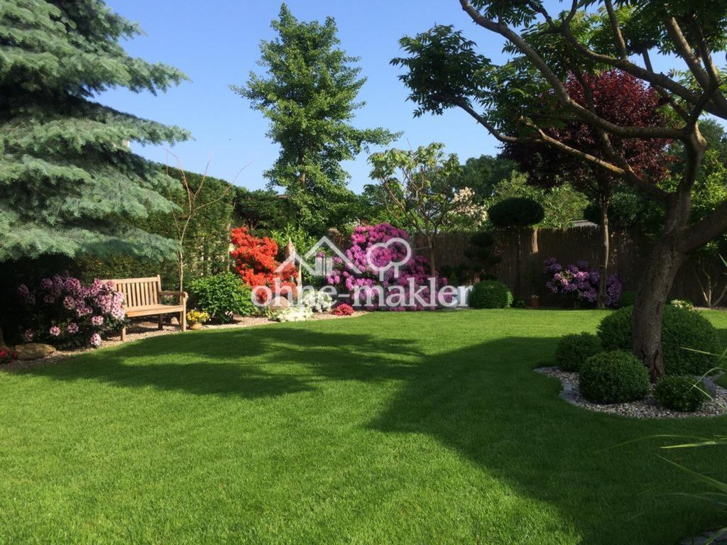 Blick in den Garten