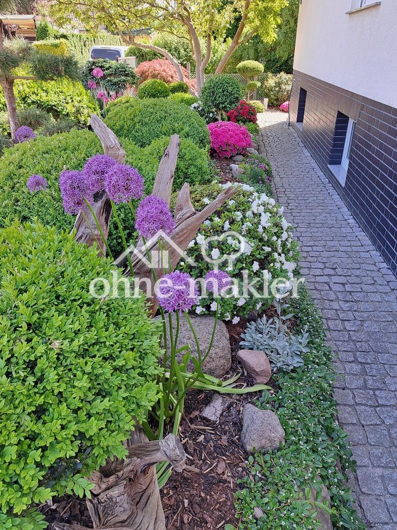 Vor dem Haus