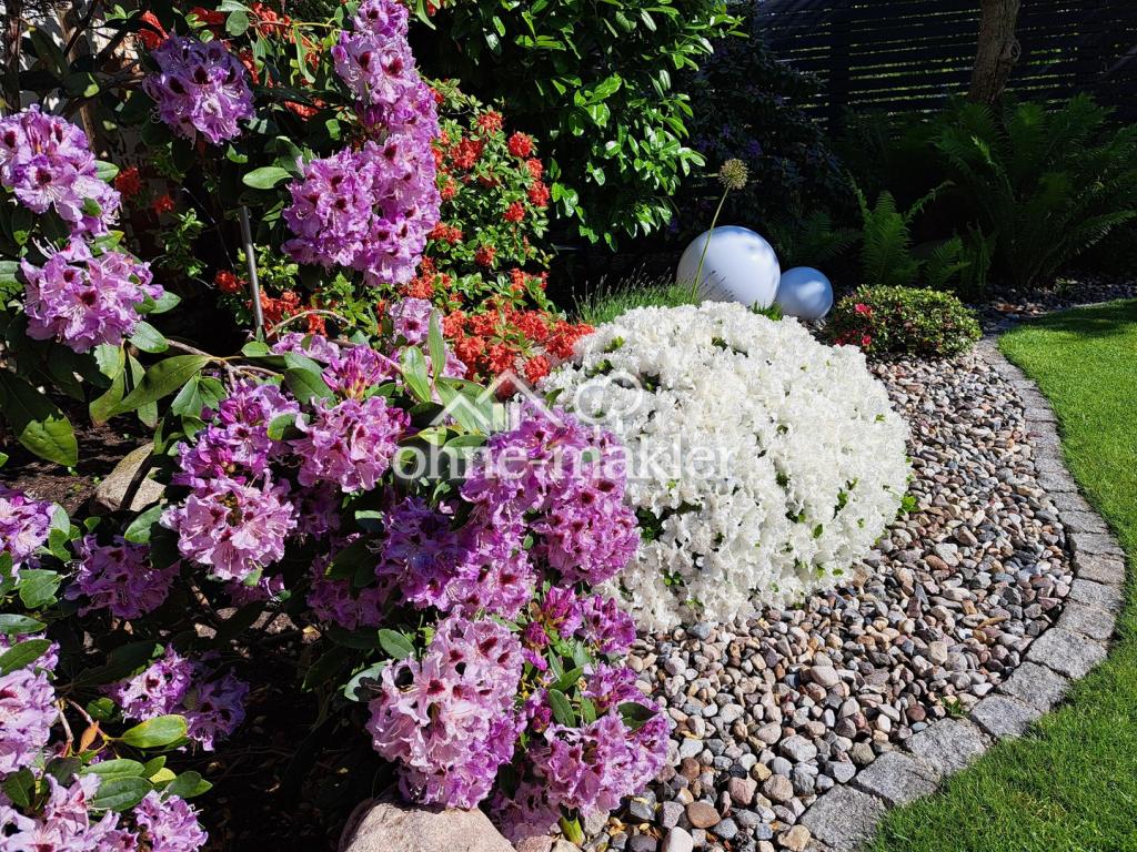 Im Garten