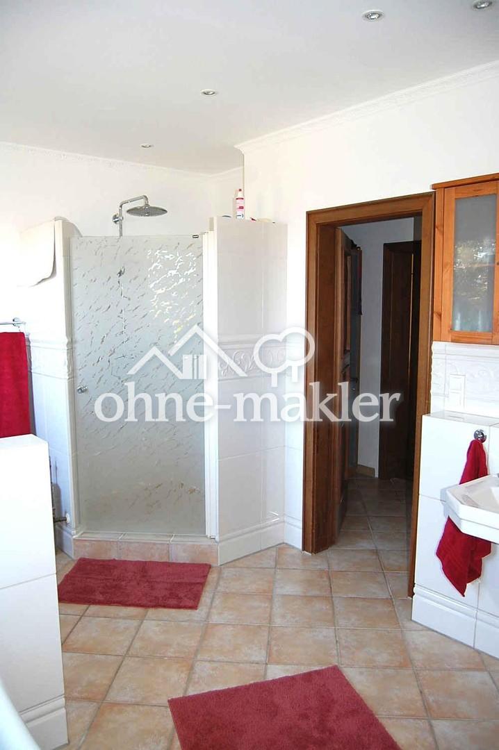 Bad im EG mit großer Dusche