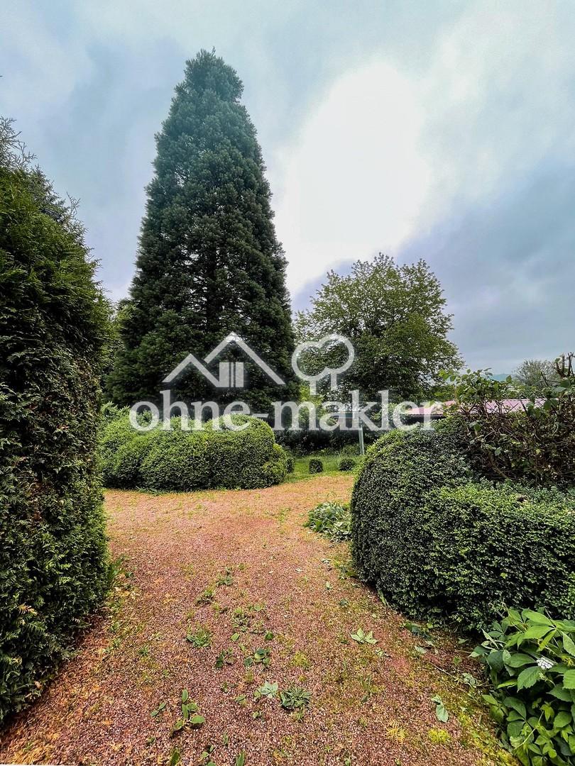 Auffahrt Blick zum Garten