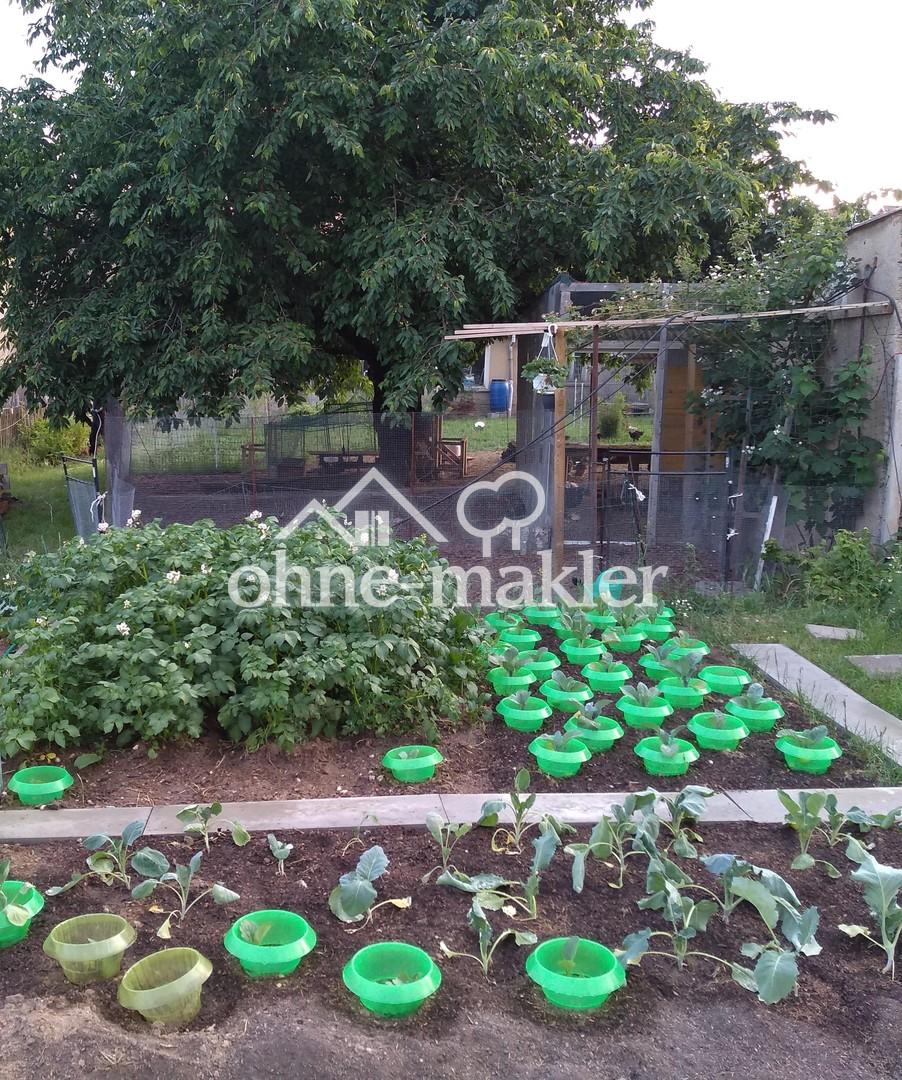 Gemüsegarten