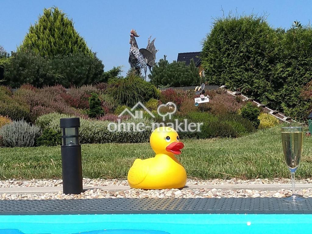 Pool und Heidegarten
