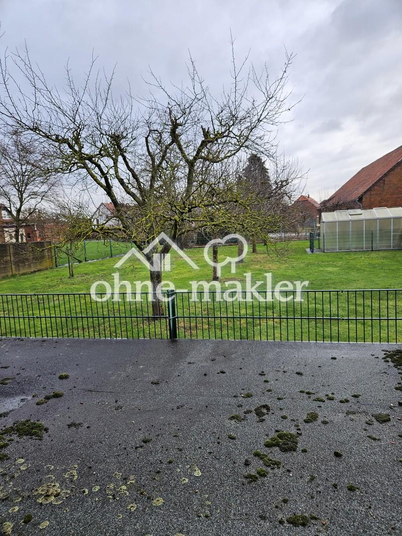 Blick angrenzender Obstgarten