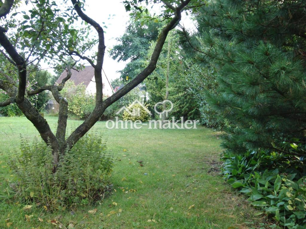 Vorderer Garten