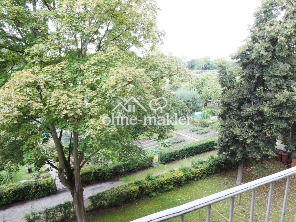 Der Blick zum Gartenbereich