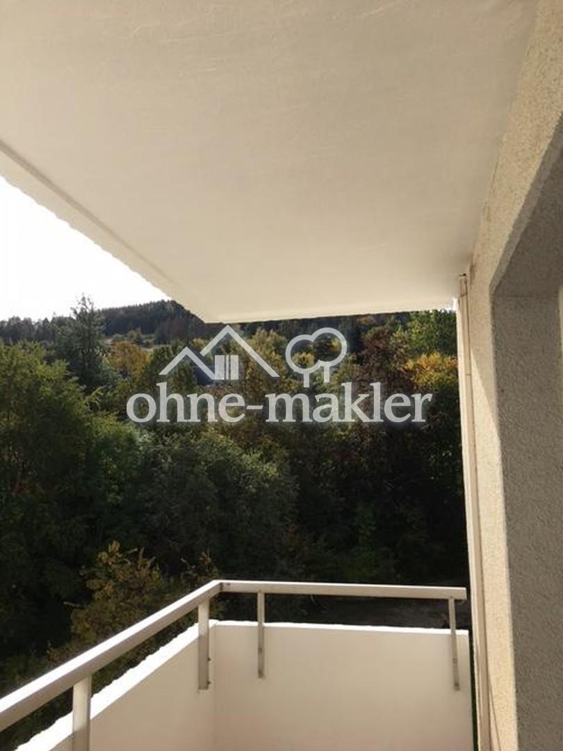 Charmante 3-Zimmer-Wohnungen mit Balkon in Goslar - Foto 2