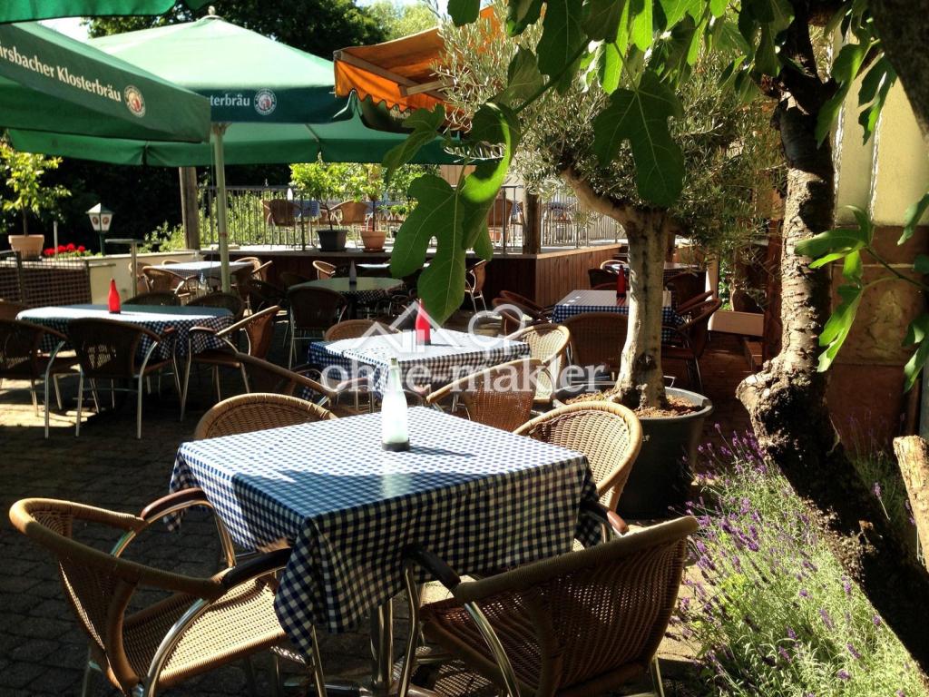 Biergarten unterm Feigenbaum