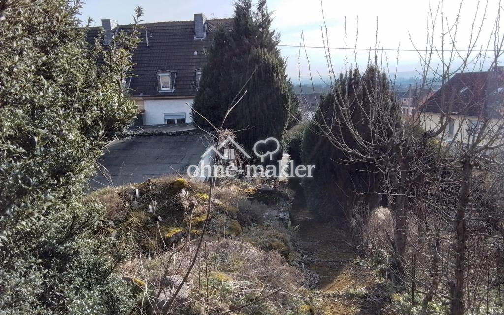 Blick aus Garten zum Haus