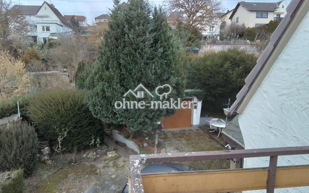 Blick zum Garten