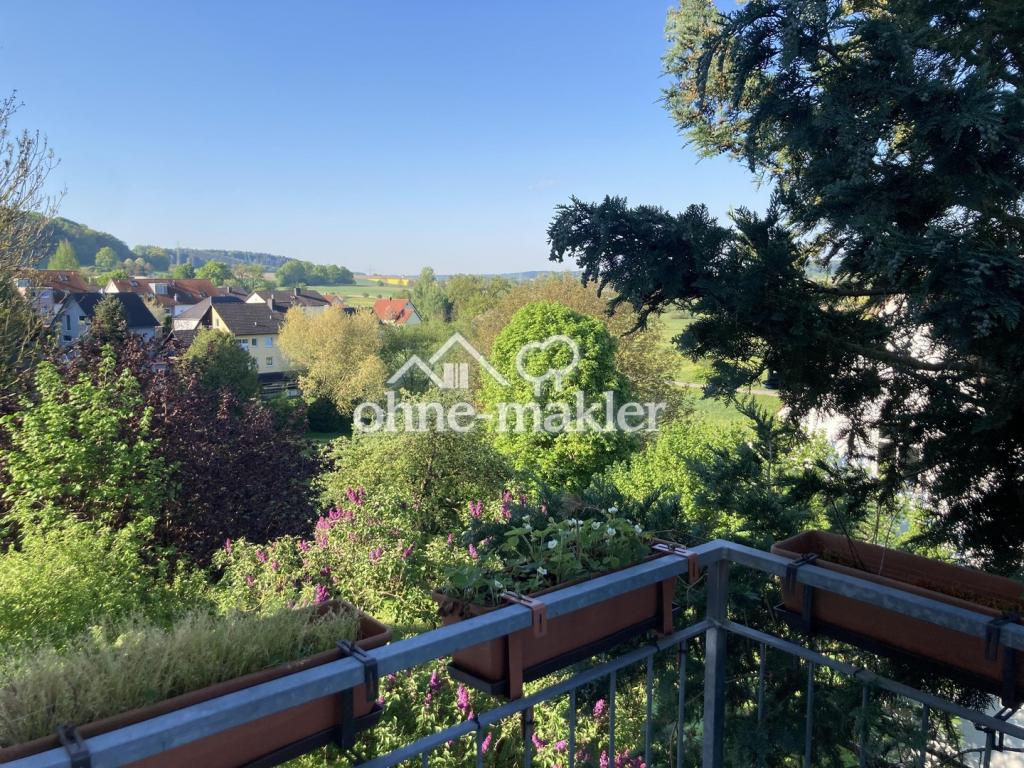 Südblick vom Balkon