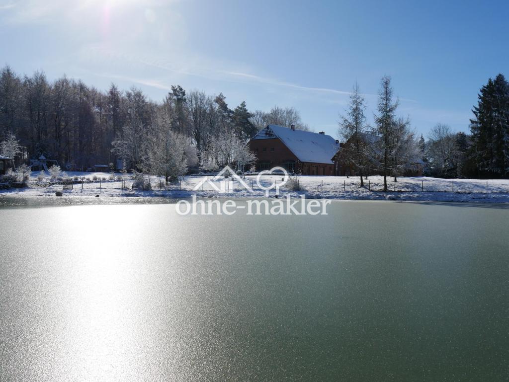 See im Winter