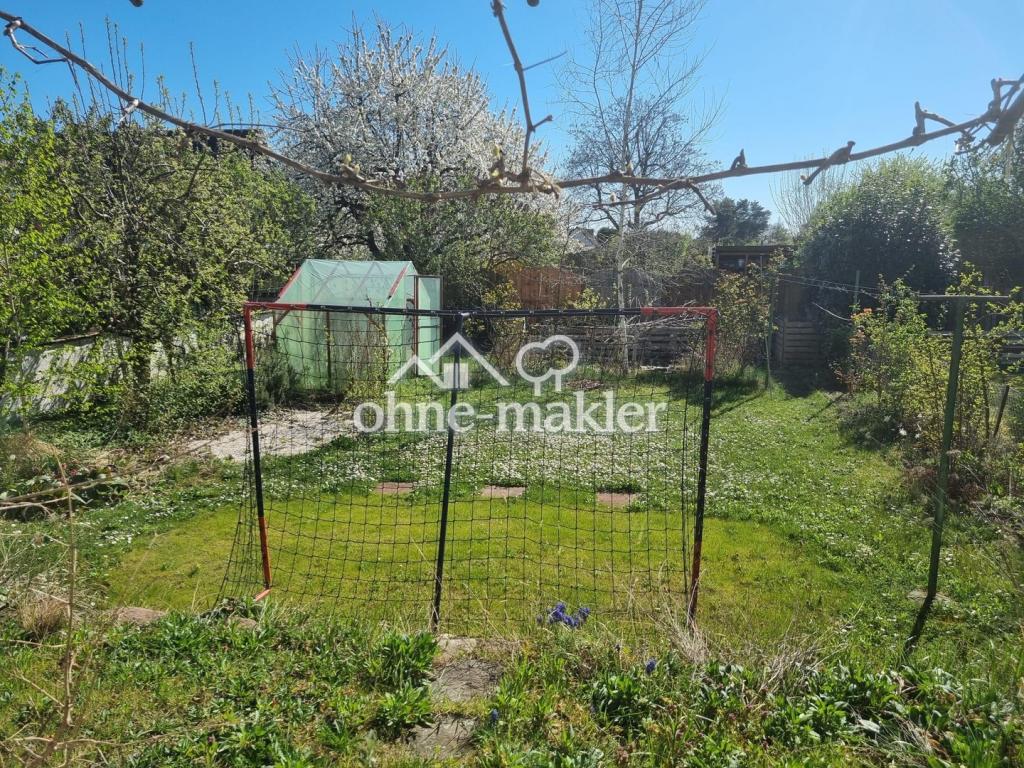 Blick in den Garten