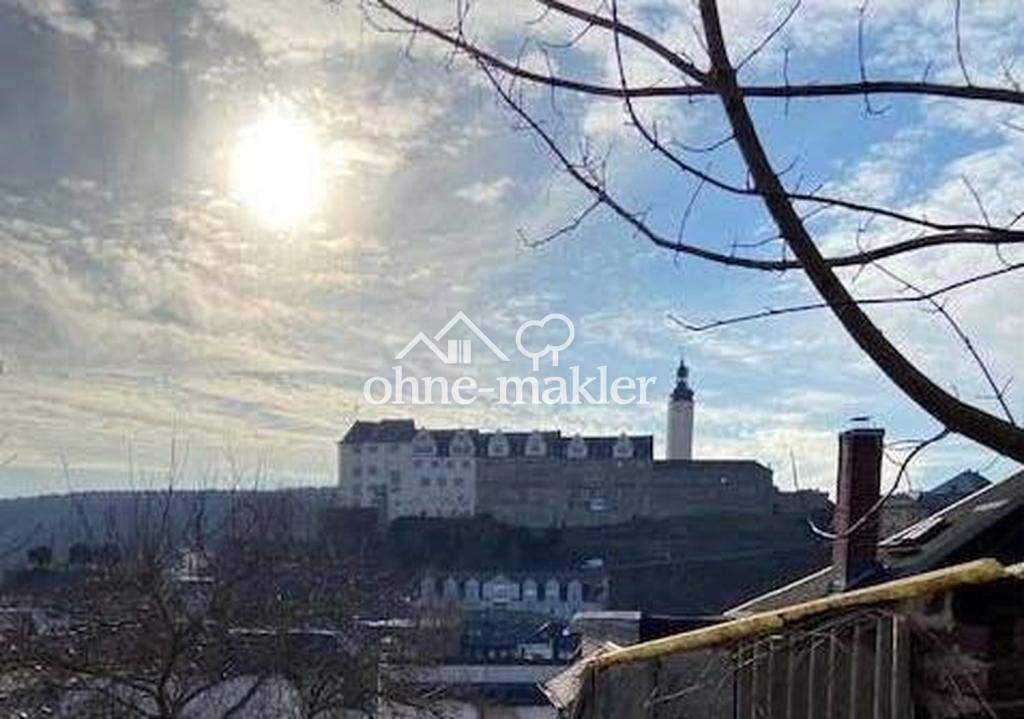 Ausicht zum Greizer Schloo