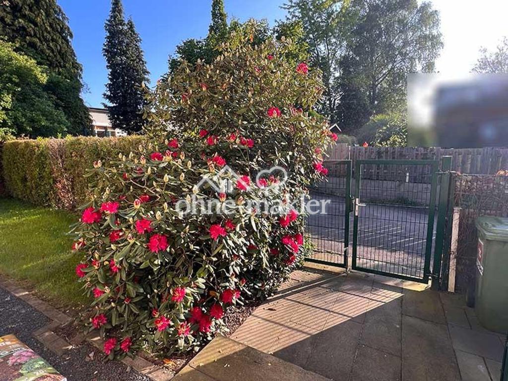 Eingang mit Rhododendron