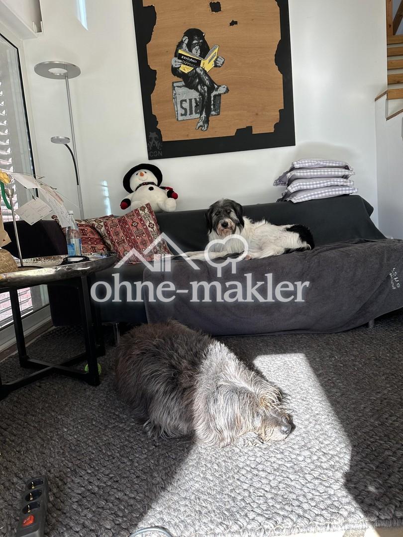 Wohnzimmer unten