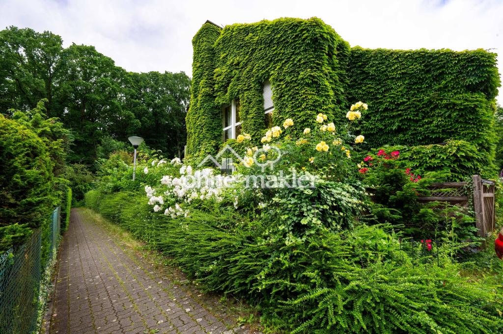 Zugang Zum wald