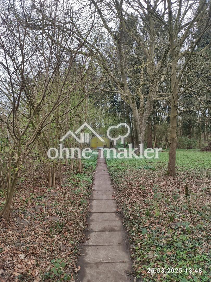 Garten (1)