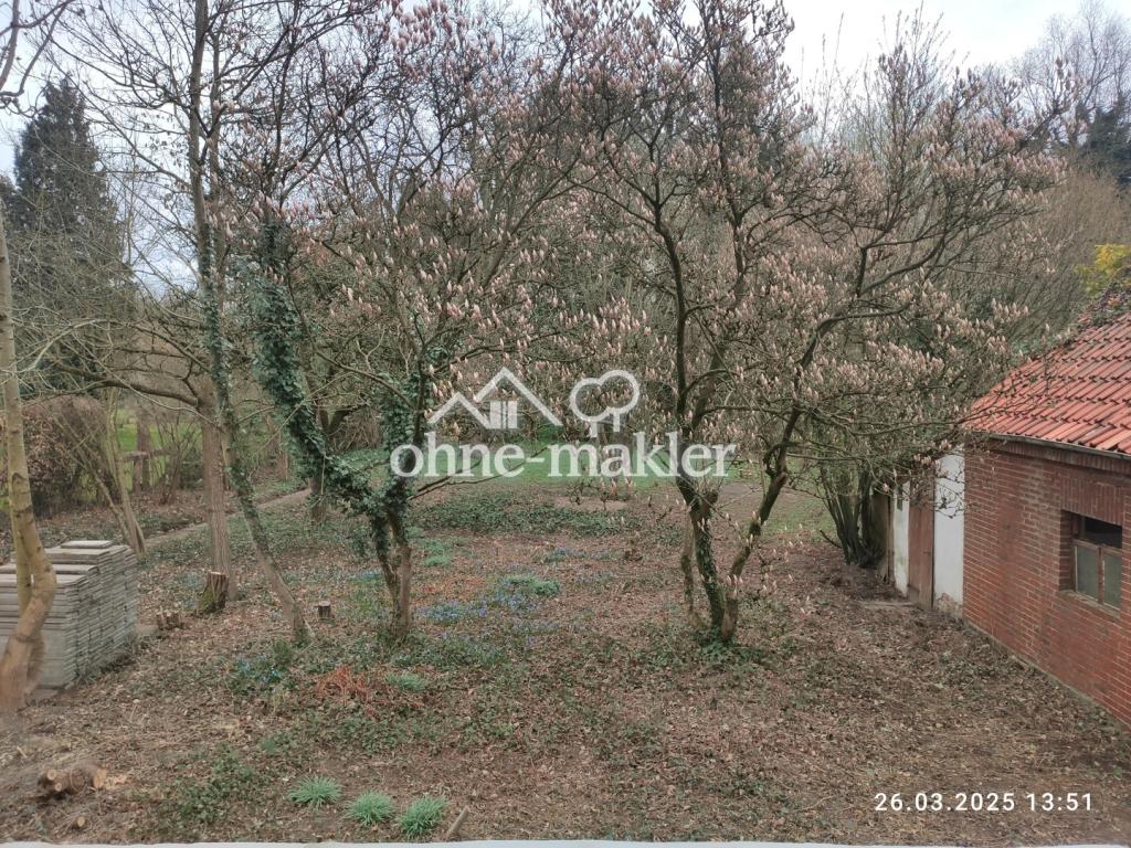 Garten Gebäuderückseite (1)