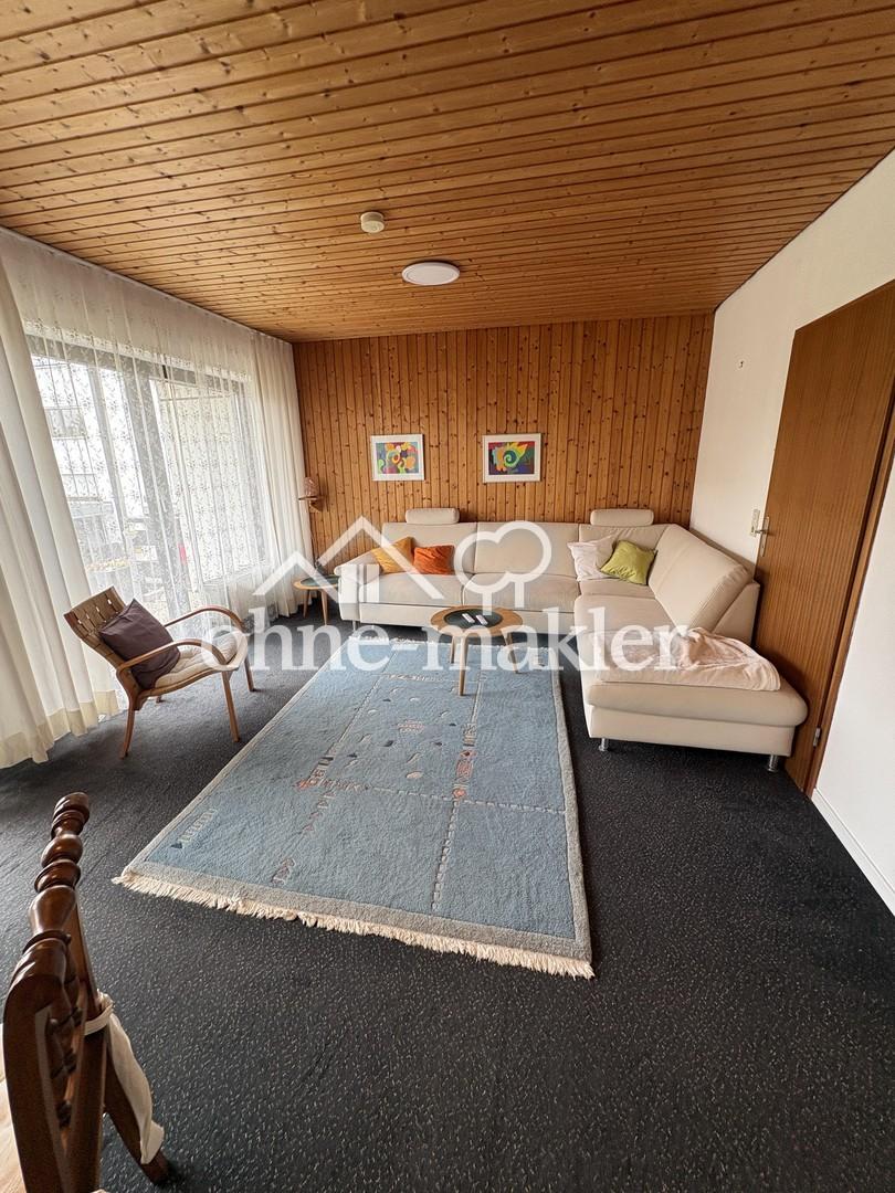 Wohnzimmer Schlafcouch