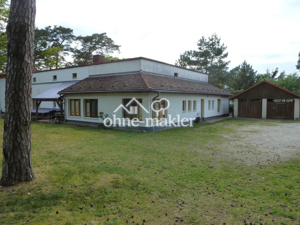 Garten mit Lubminer Kiefern