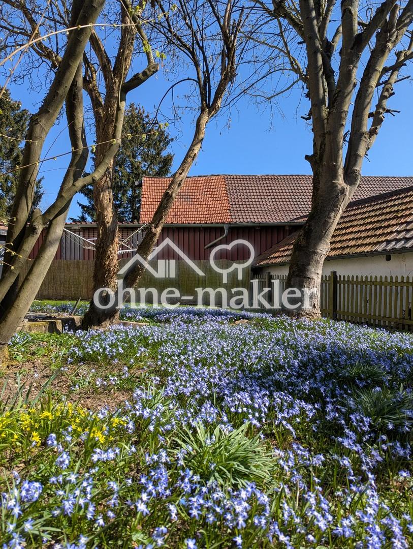 Garten im Frühjahr