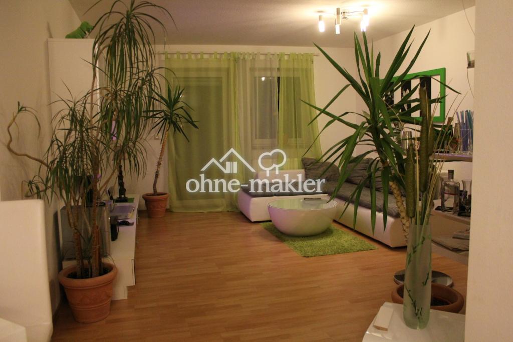Blick ins Wohnzimmer 1